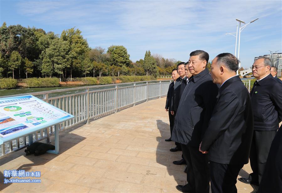 （XHDW）（2）习近平察看滇池生态湿地
