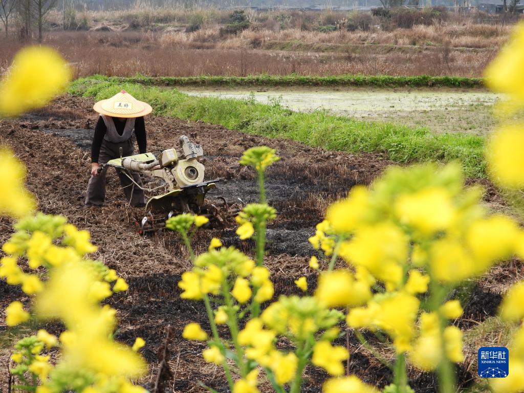 春到来、中国各地で農作業に励む人々
