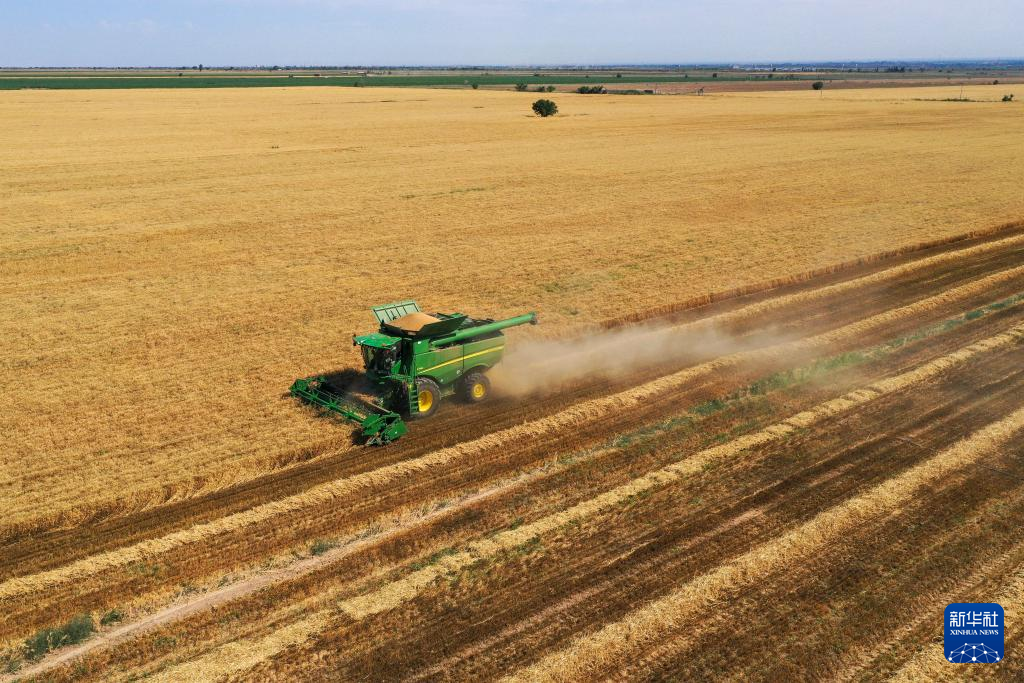 夏穀物の確実な収穫を保障　新疆ウイグル自治区