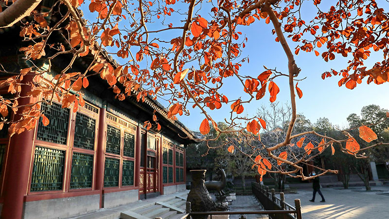 初冬の北京市、澄み切った青空広がる