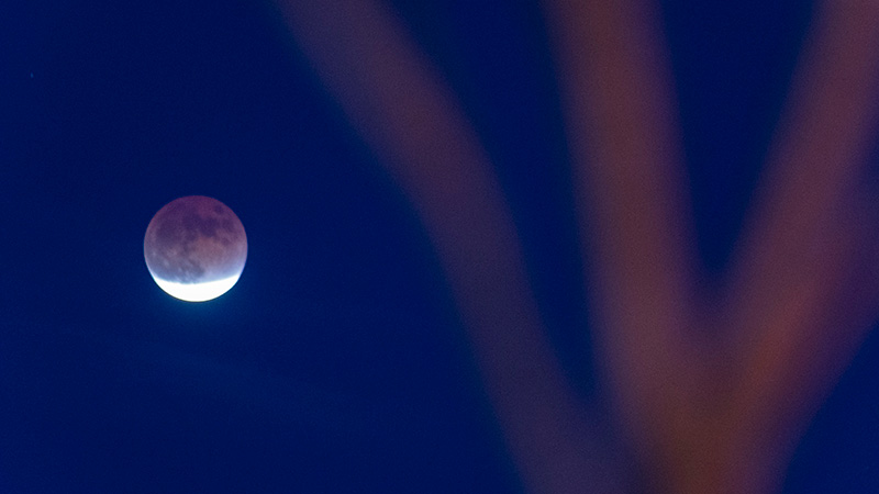 ハルビンの夜空に浮かぶ部分月食　黒竜江省