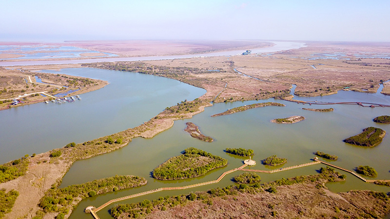 中國の黃河デルタ國家級自然保護區、濕地１萬８８００ヘクタールを回復