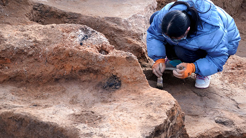 河南省の蘇羊遺跡、５千年前の多元的文化交流の証拠を発見