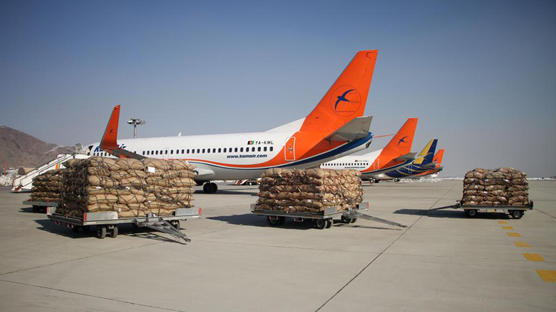 アフガン産「松の実専用機」、今年の第１便が中国へ出発