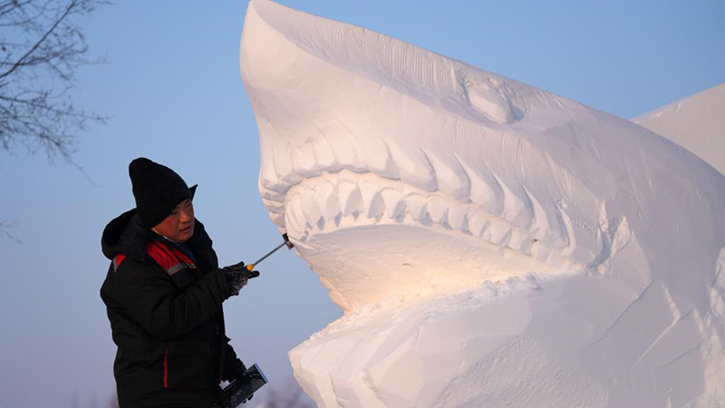 ハルビンの雪像彫刻コンテスト、６０人が技競う　黒竜江省