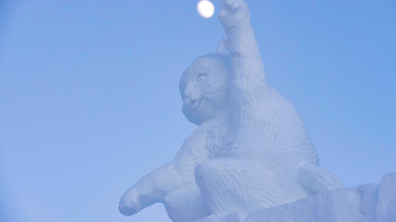 第２８回全國雪像彫刻コンテストが閉幕　黒竜江省ハルビン市