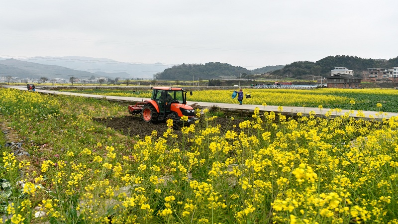 二十四節気「雨水」　春の農作業が本格化　貴州省
