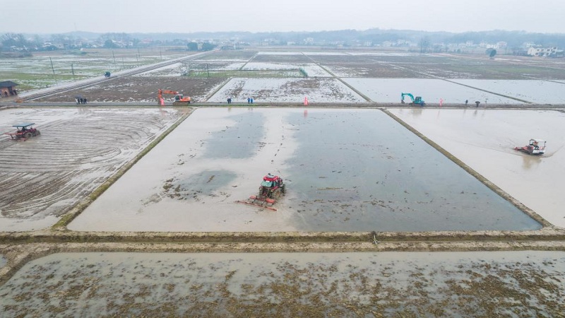 高規格農地の整備で耕作準備進む　湖南省桃源県