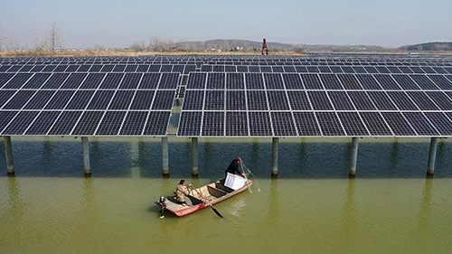 漁業・太陽光発電一体型プロジェクトで増収を後押し　安徽省滁州市