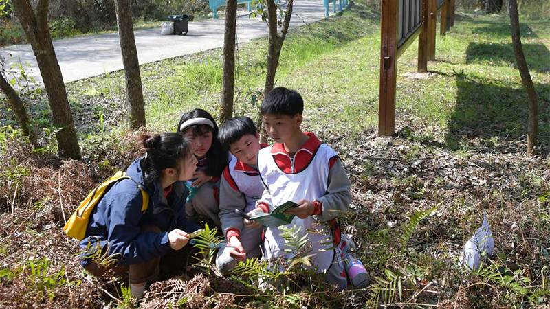子どもに自然を教える若者　江西省靖安県