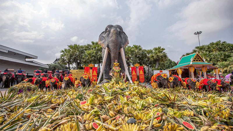 タイで「ゾウの日」　ゾウが食べ放題を満喫