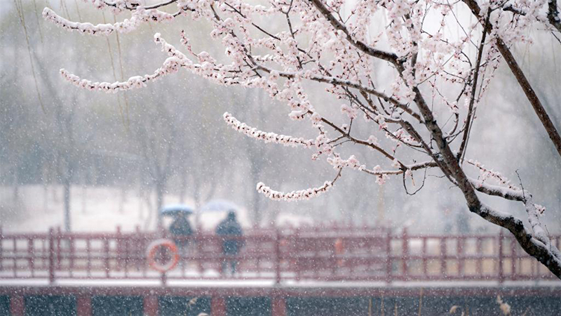 北京で降雪