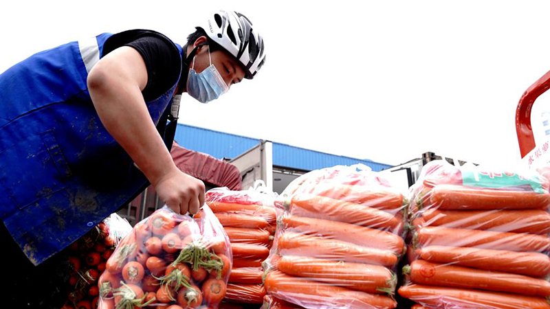 上海最大の野菜卸売市場、コロナ対策下でも取引活発