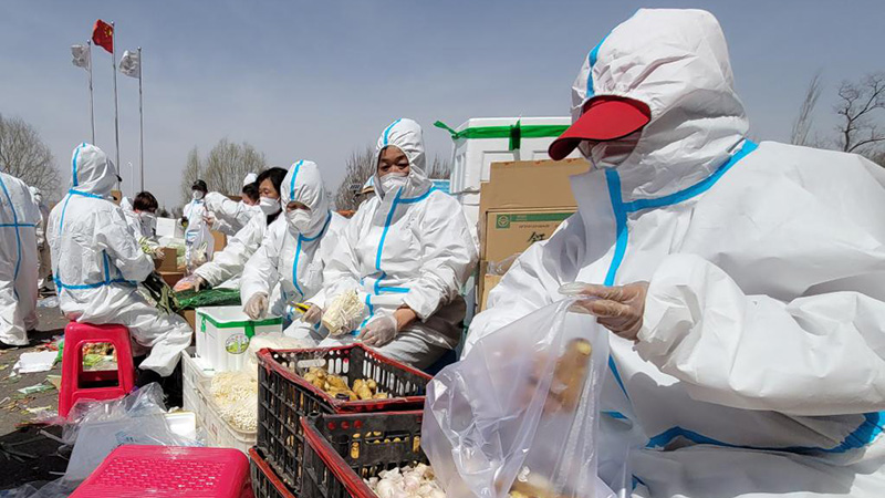 遼寧省、約４千トンの野菜調達で吉林省を支援