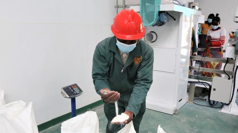 中国が支援したザンビアのトウモロコシ粉加工工場、引き渡し完了