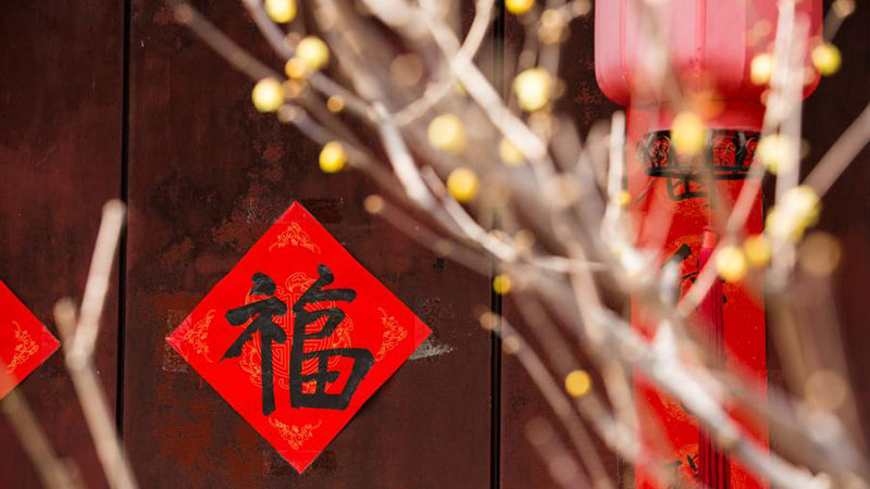 春を告げるロウバイ開花　北京市