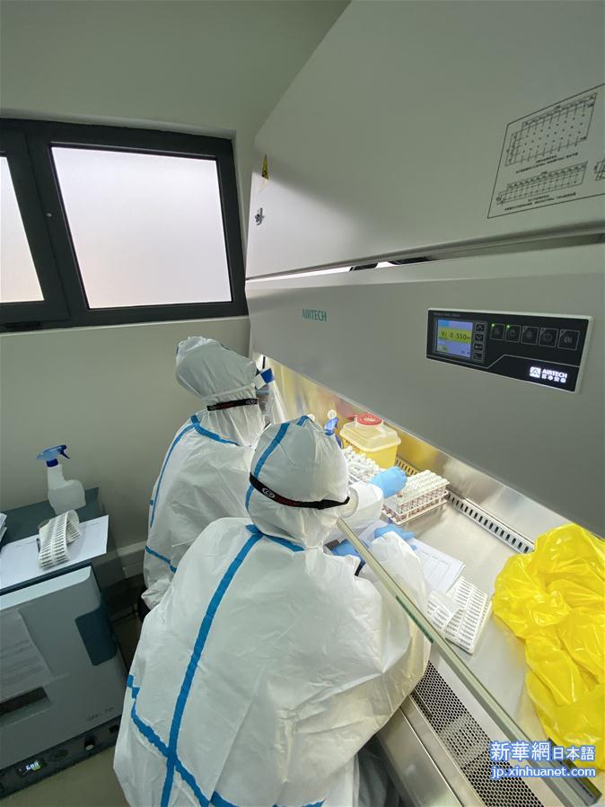 （国际疫情·图文互动）（3）华大基因承建 安哥拉“火眼”新冠检测实验室揭幕
