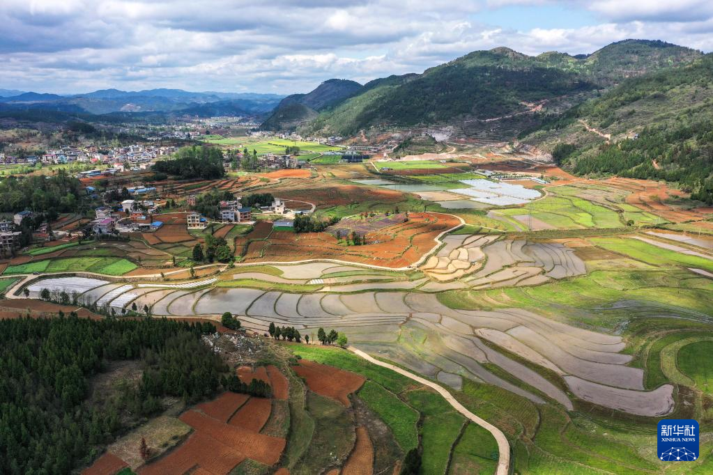 ハイブリッド稲栽培で農村の種子業振興を後押し　中国貴州省岑鞏県