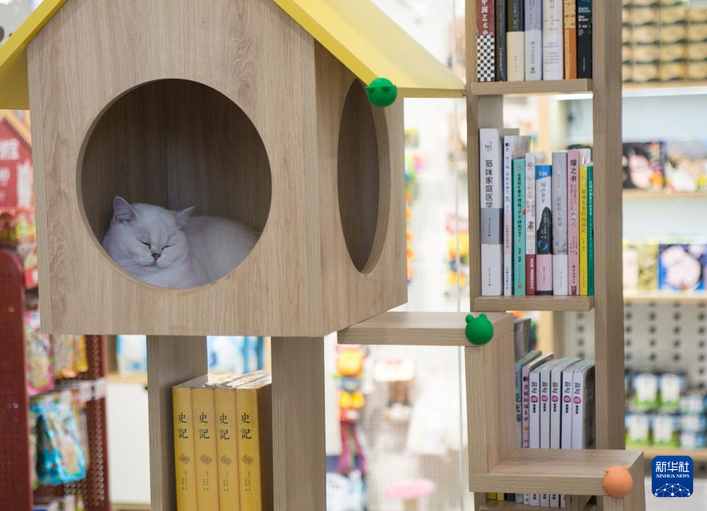 個性的な読書空間　中国の特色ある書店