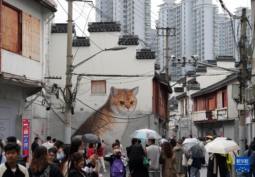 上海外灘の旧市街が「猫の街」に変身、人気撮影スポットに