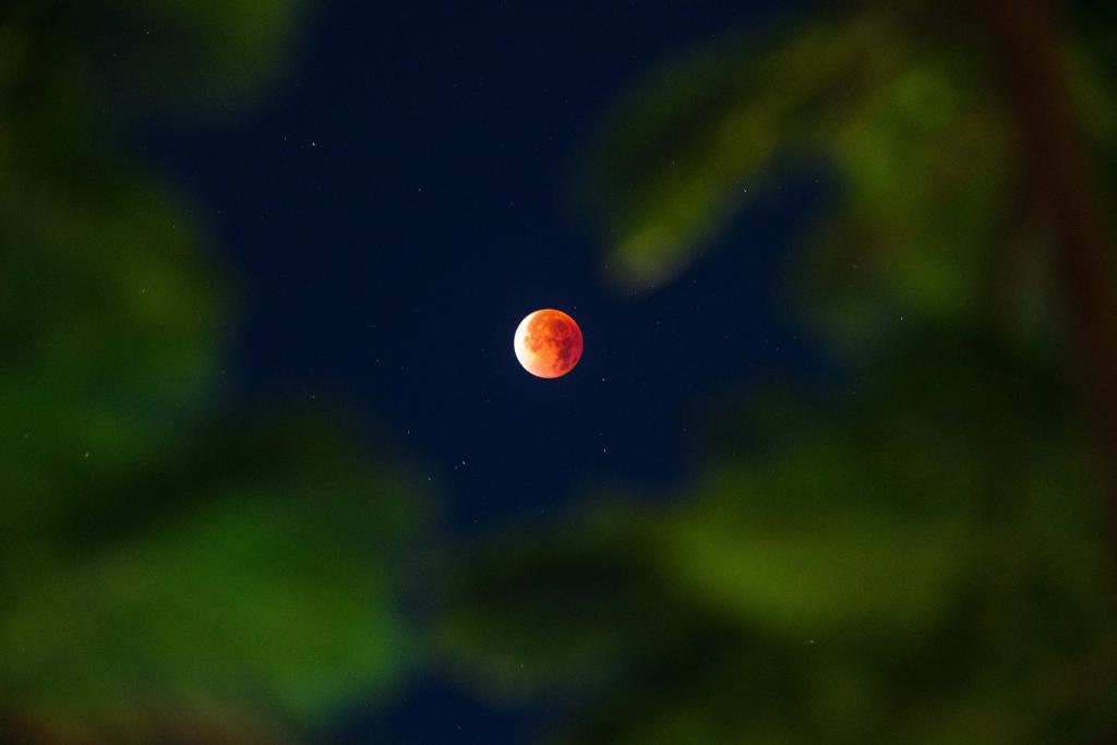 世界各地で皆既月食 夜空に赤い月